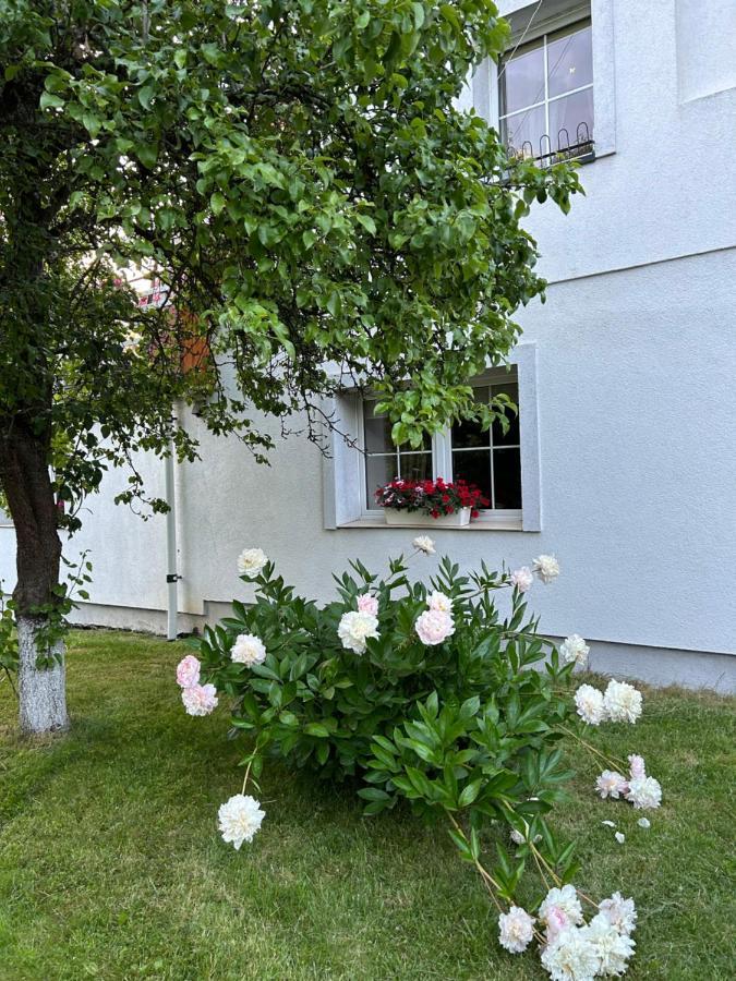 Apartamenty Stokrotka Ladek-Zdroj Ngoại thất bức ảnh